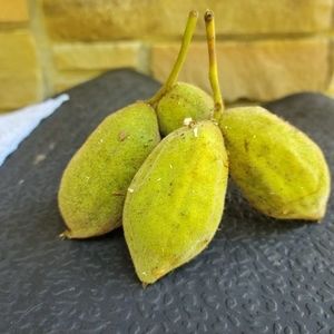 Meet your Posher, Joann